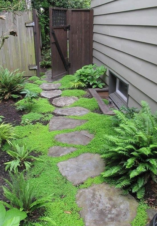 Lindos caminhos para jardim com pedras