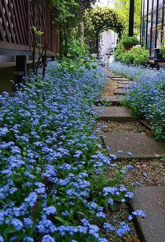 Lindo caminho de jardim com pedras