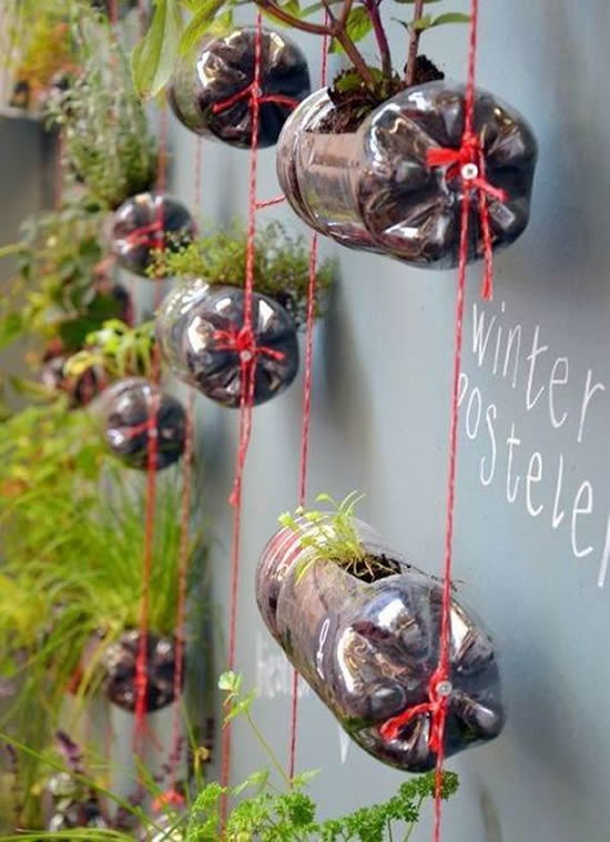 Horta com garrafas plásticas