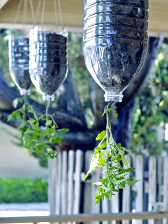 12 ideias para horta caseira com garrafa PET