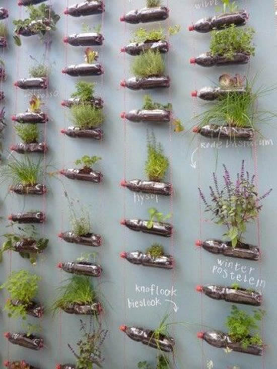 Horta caseira com garrafa PET