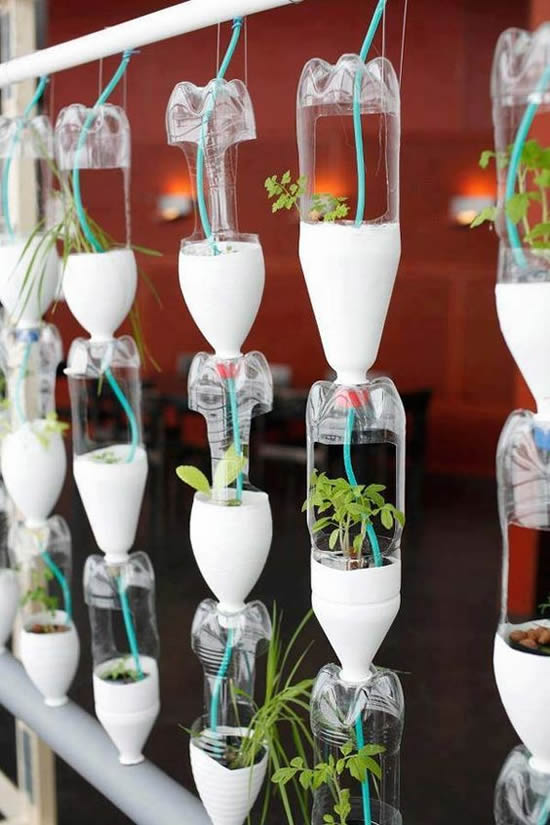 Horta com garrafas plásticas