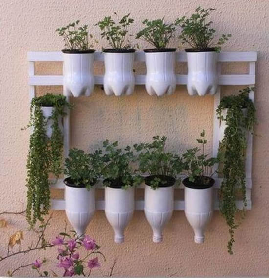 Horta com garrafa plástica