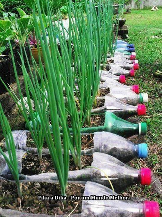 Horta com garrafa PET