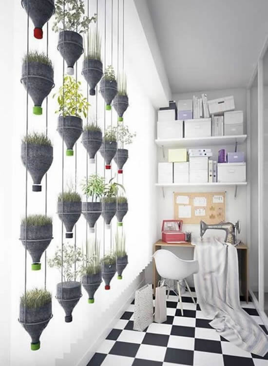 Horta caseira com garrafa PET