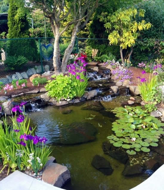 Lindos lagos de jardim