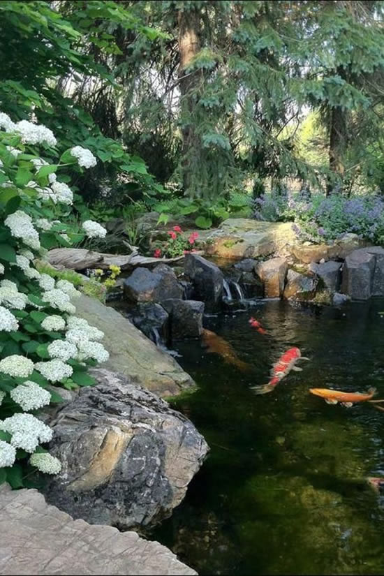 Lindos lagos de jardim