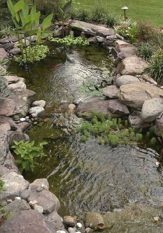 Lindos lagos de jardim