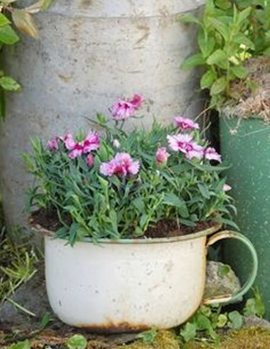 Vasos lindos com reciclagem