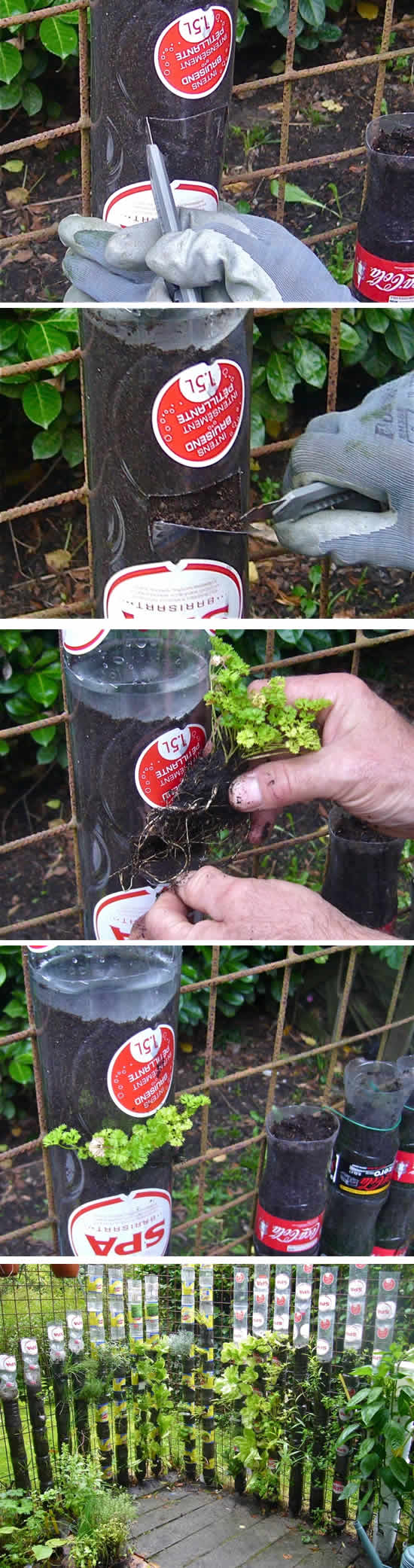 Como fazer horta com garrafa PET