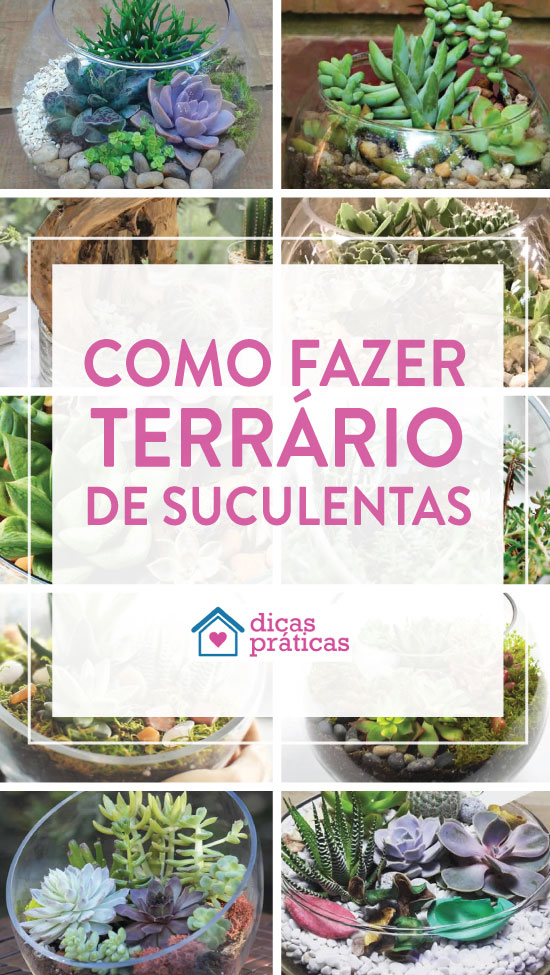 Como fazer um terrário de suculentas em vidro