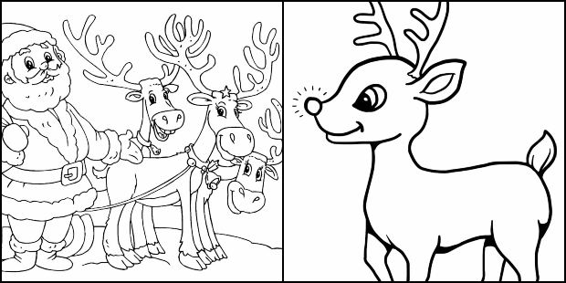 Desenhos de rena de Natal para colorir