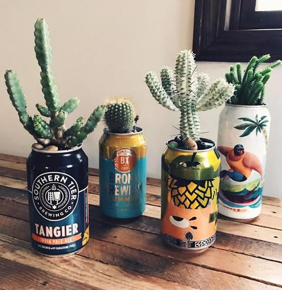 Vasos de latas com cactos