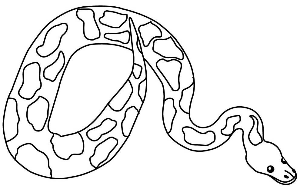 Desenho de Cobra para pintar