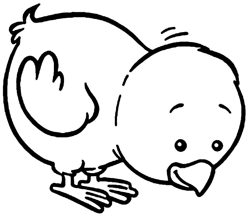 Desenho de pintinho para pintar