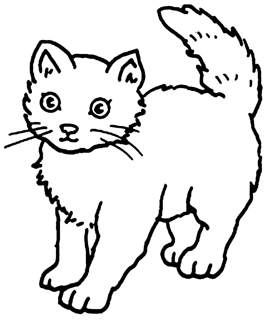 Desenho de gato para pintar