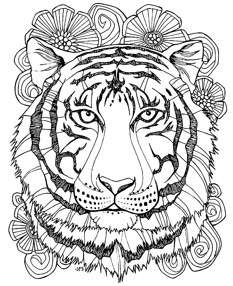 Desenho de Tigre para colorir