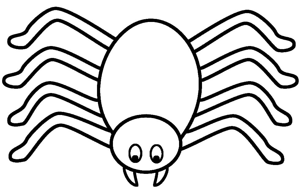 Desenho de Aranha para colorir