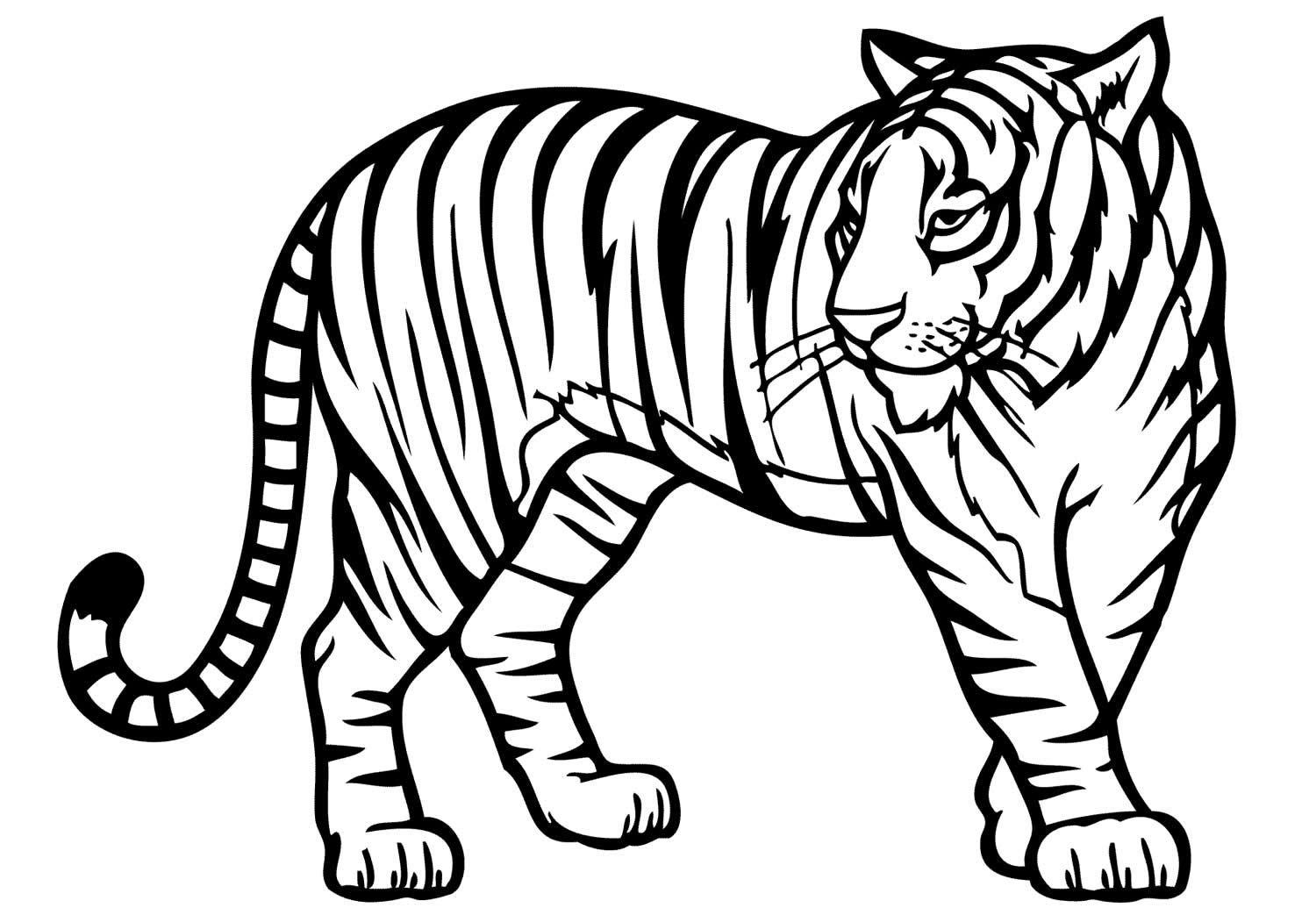 Desenhos de bichos para pintar