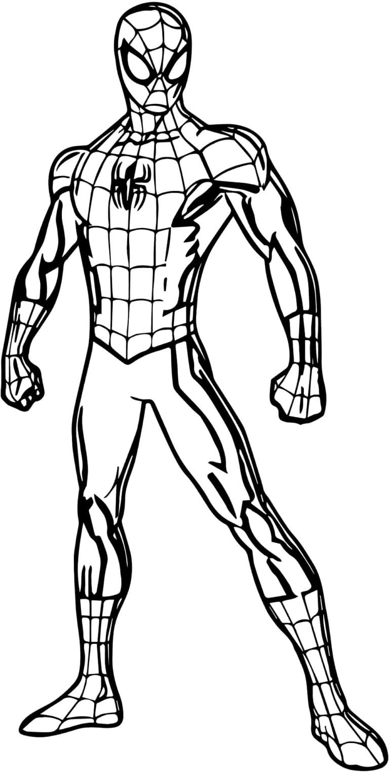 50+ Desenhos para colorir do Homem-Aranha - Dicas Práticas