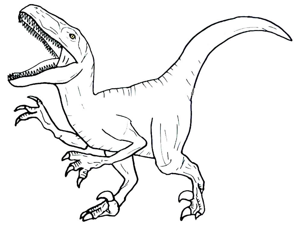 Imagem de dinossauro para colorir