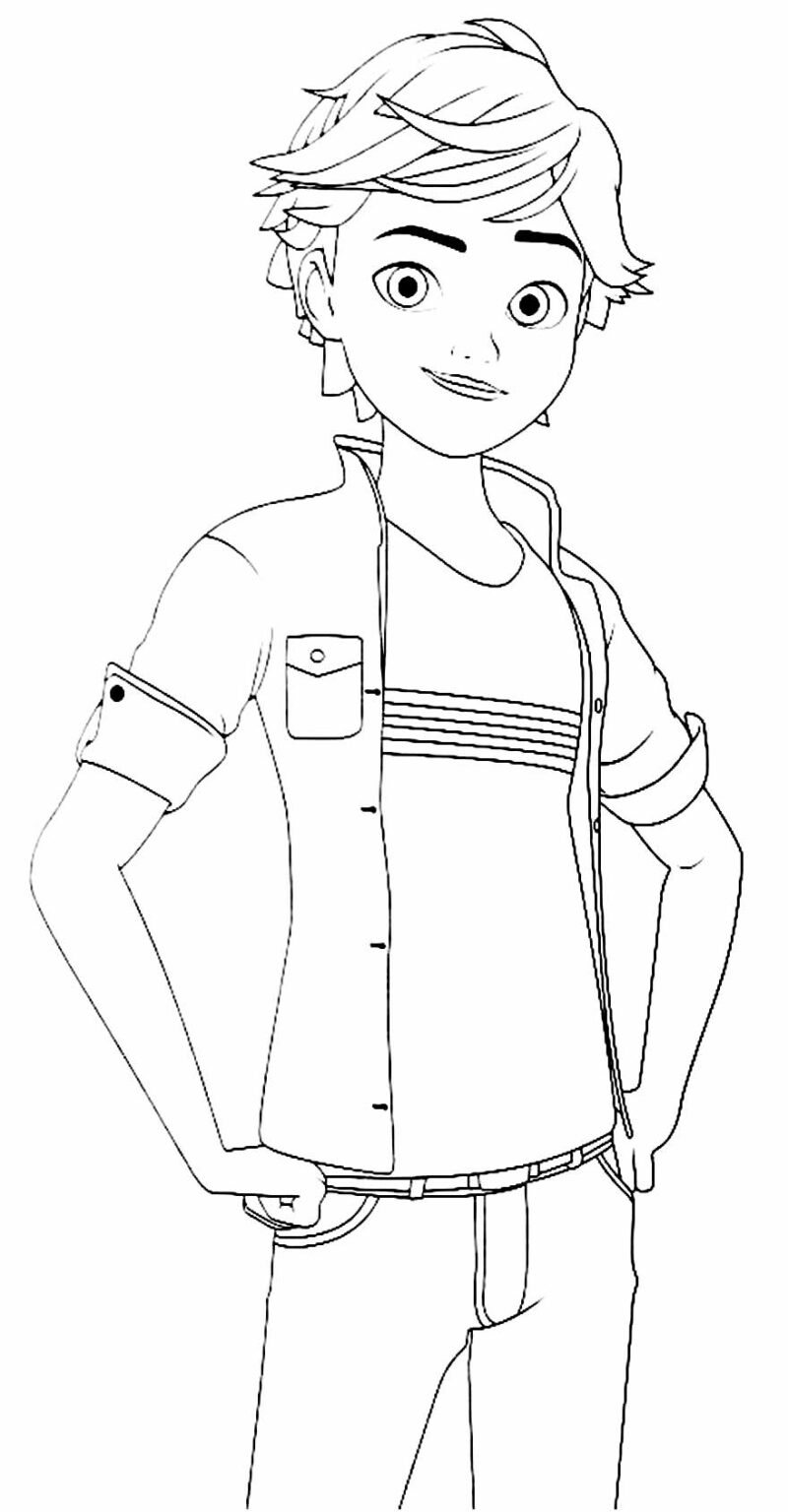 30+ Desenhos da Ladybug e do Cat Noir para colorir Dicas Práticas