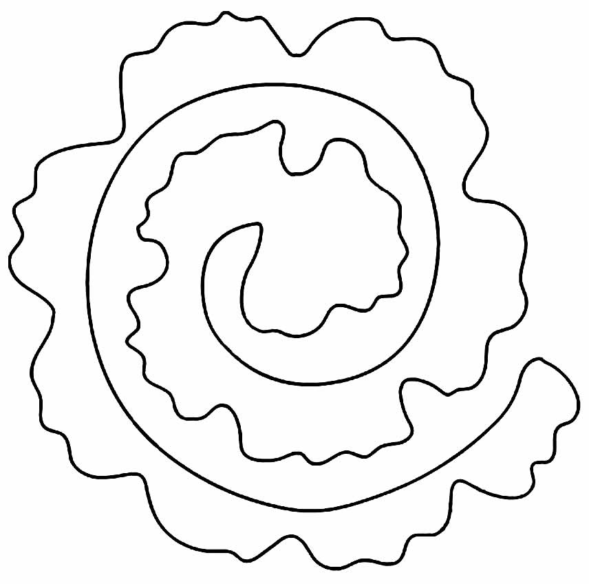 Molde para flor em espiral