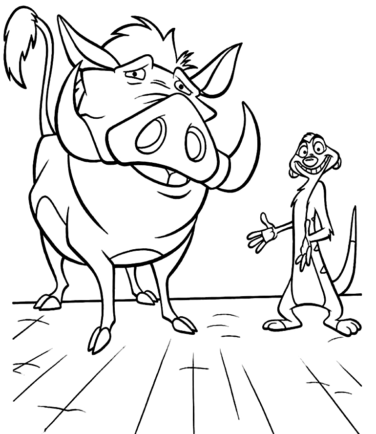 Imagem de Timão e Pumba para colorir