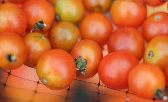 Máscara com tomates