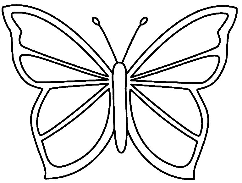 Molde para borboleta