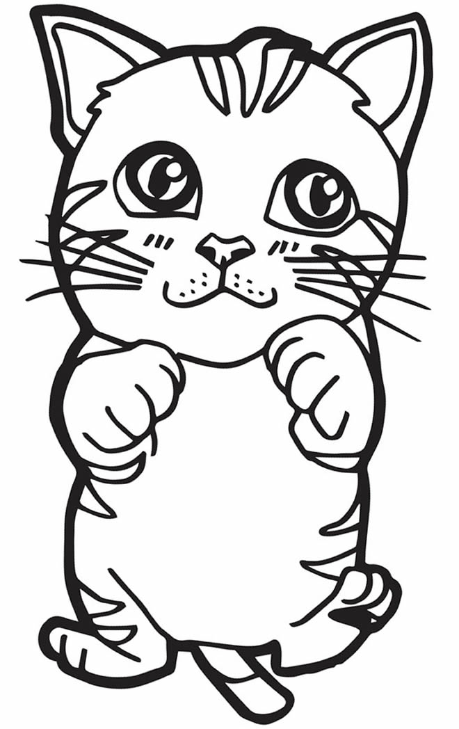 Lindo desenho de gatinho para colorir