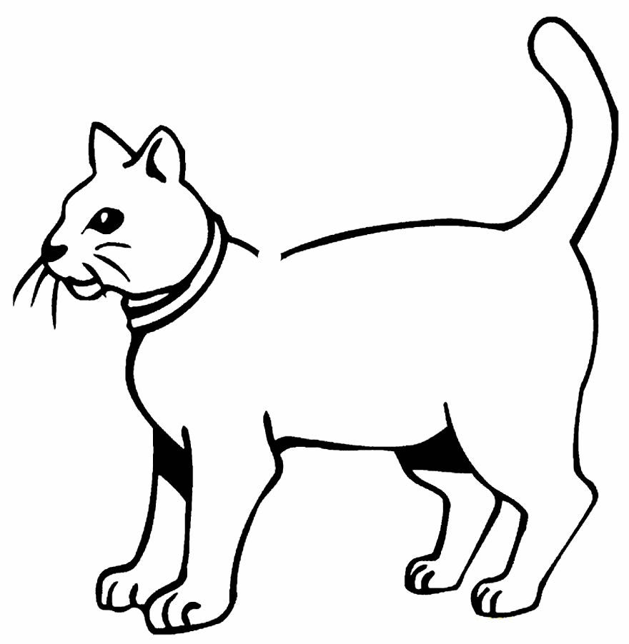 Desenho de gato