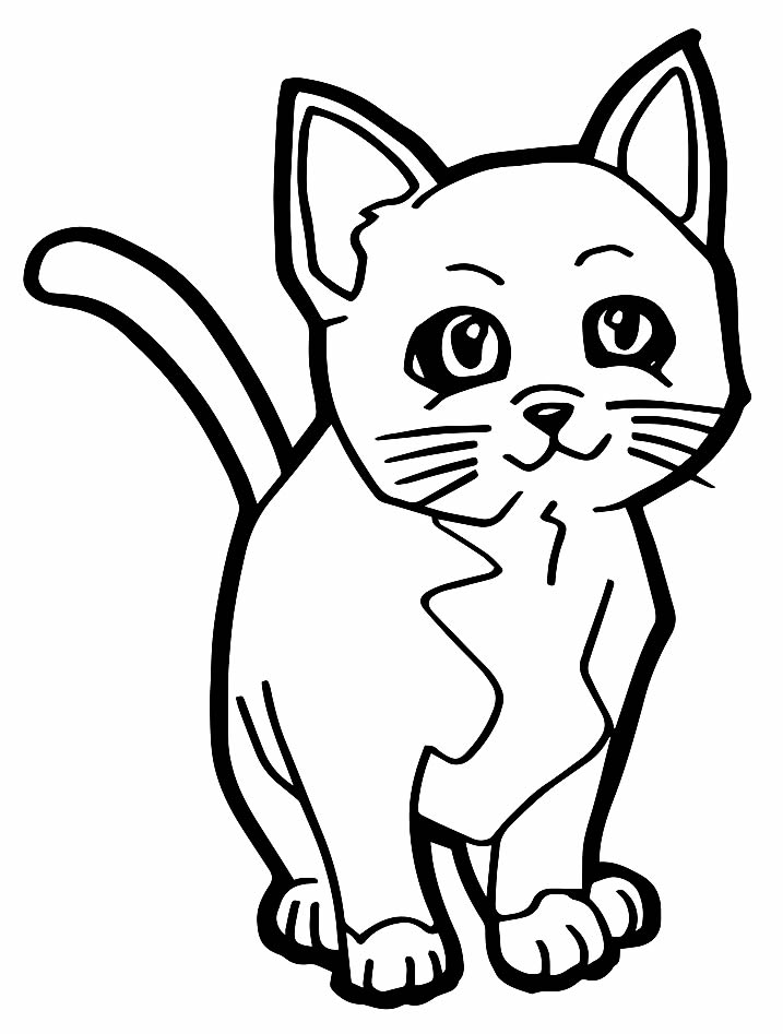 Desenho de gatinho