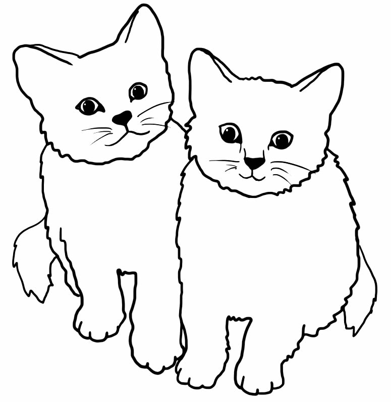 Desenho de gatinhos para colorir