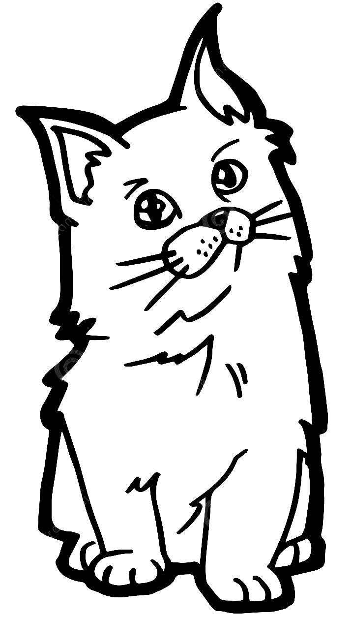 Desenho de gato para colorir