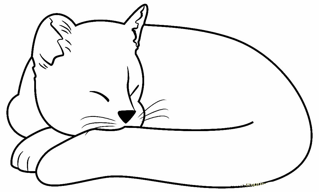 Desenho de gatinho dormindo para colorir