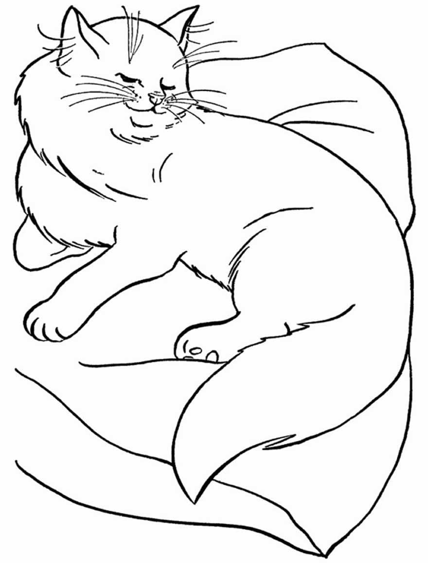 Desenho de gatinho para colorir