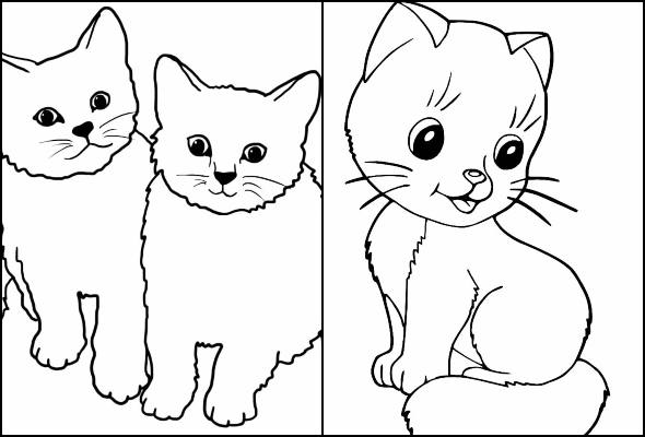 Desenhos de Gatinhos para Colorir - Coletânea de Imagens para Imprimir