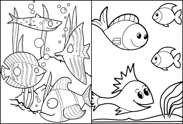 Desenhos de peixes para colorir