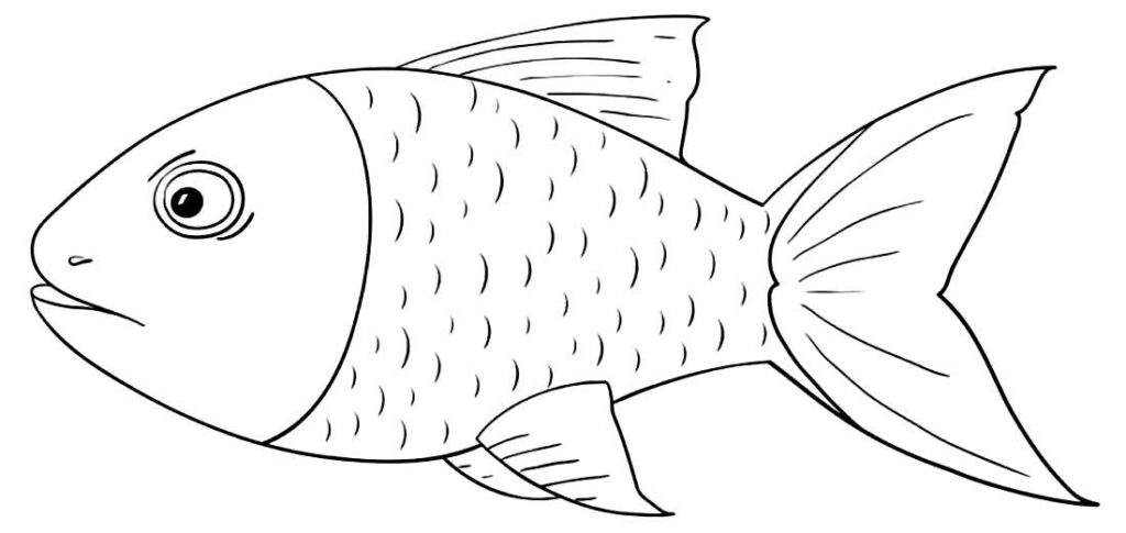 60+ Desenhos de Peixes para colorir - Dicas Práticas