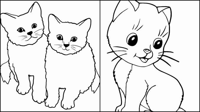 Desenho Gatos