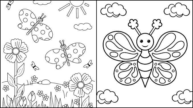 Desenhos Borboletas