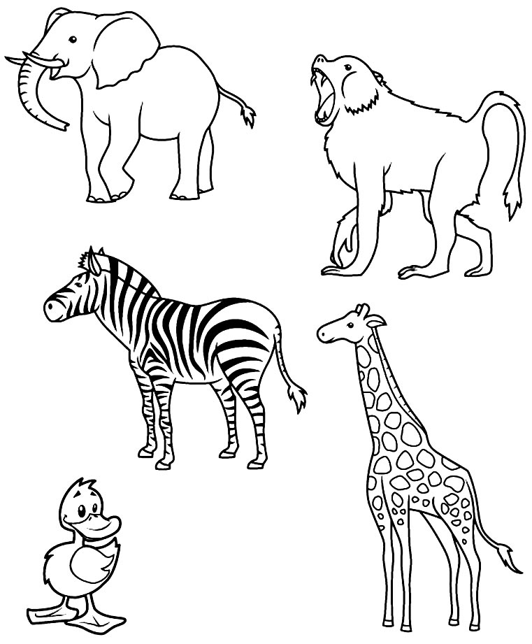 Desenho de animais para colorir