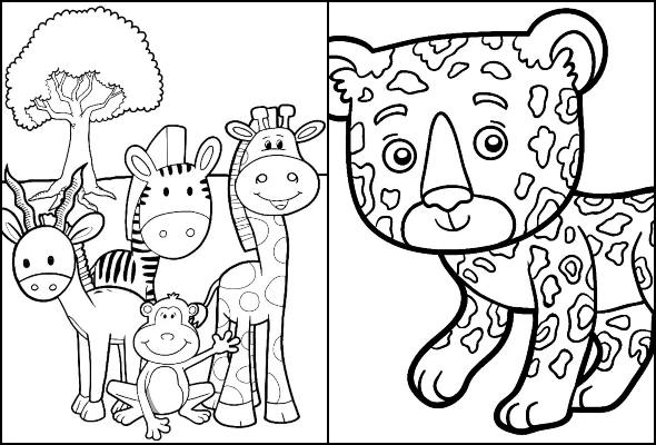 Desenhos de animais para colorir