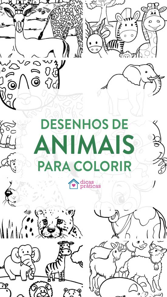 Desenhos de animais para colorir