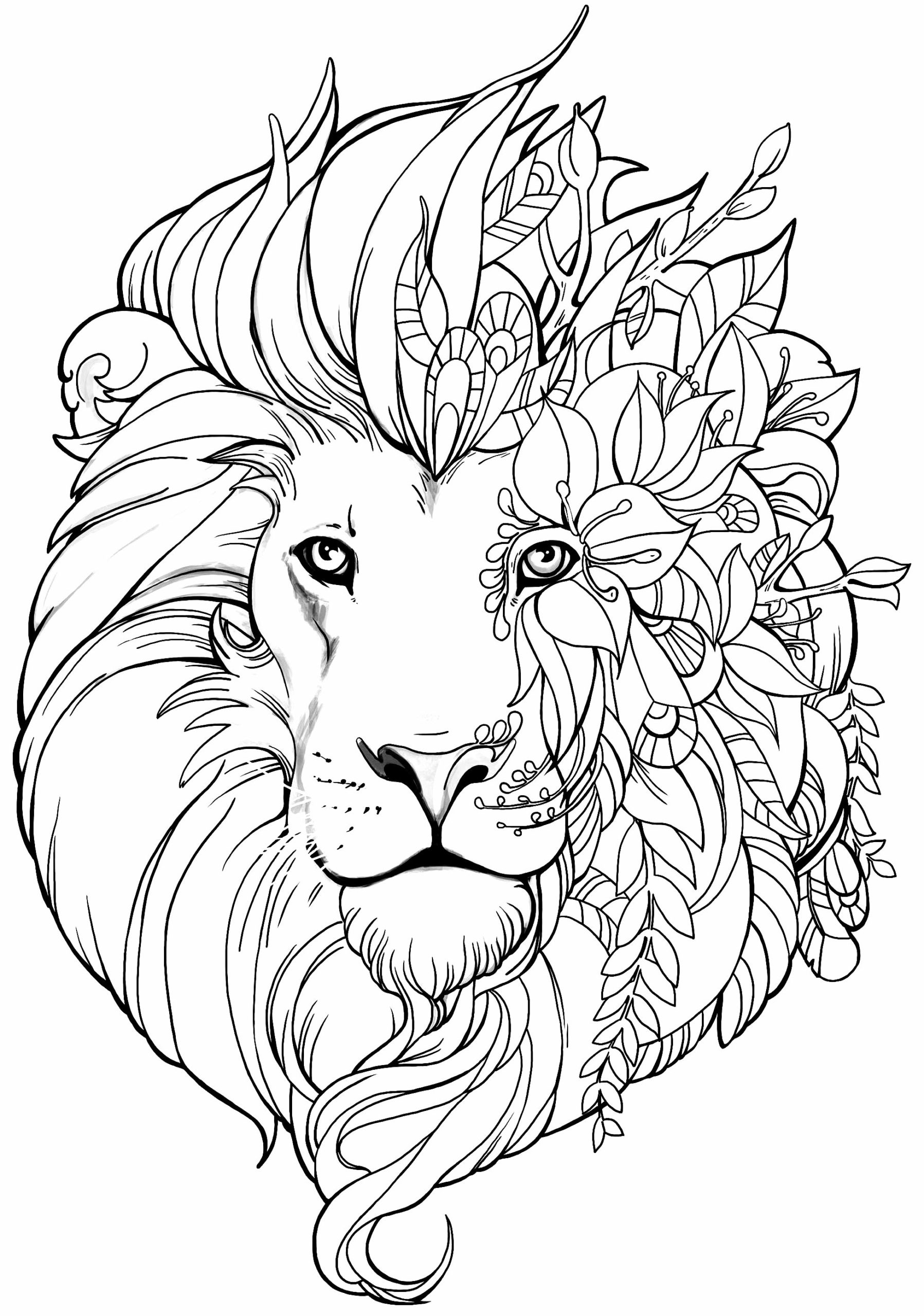 Imagem de leão para colorir