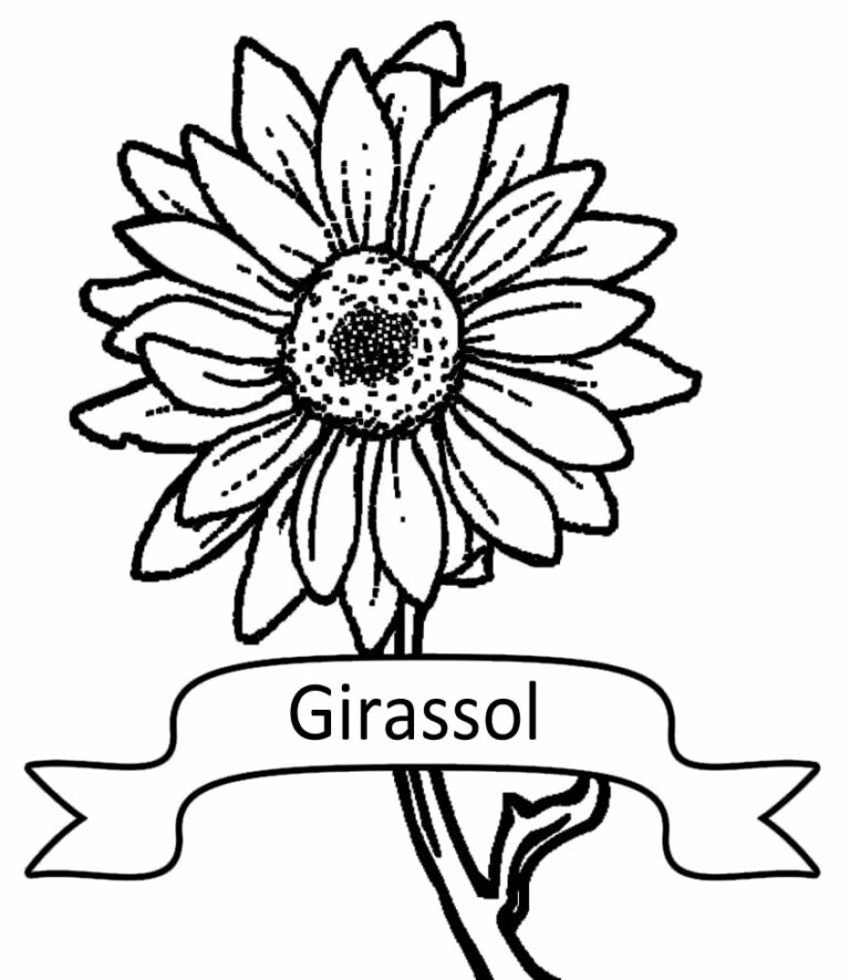 50+ Desenhos de Girassol para colorir - Dicas Práticas