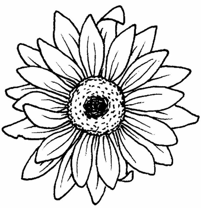 50+ Desenhos de Girassol para colorir - Dicas Práticas