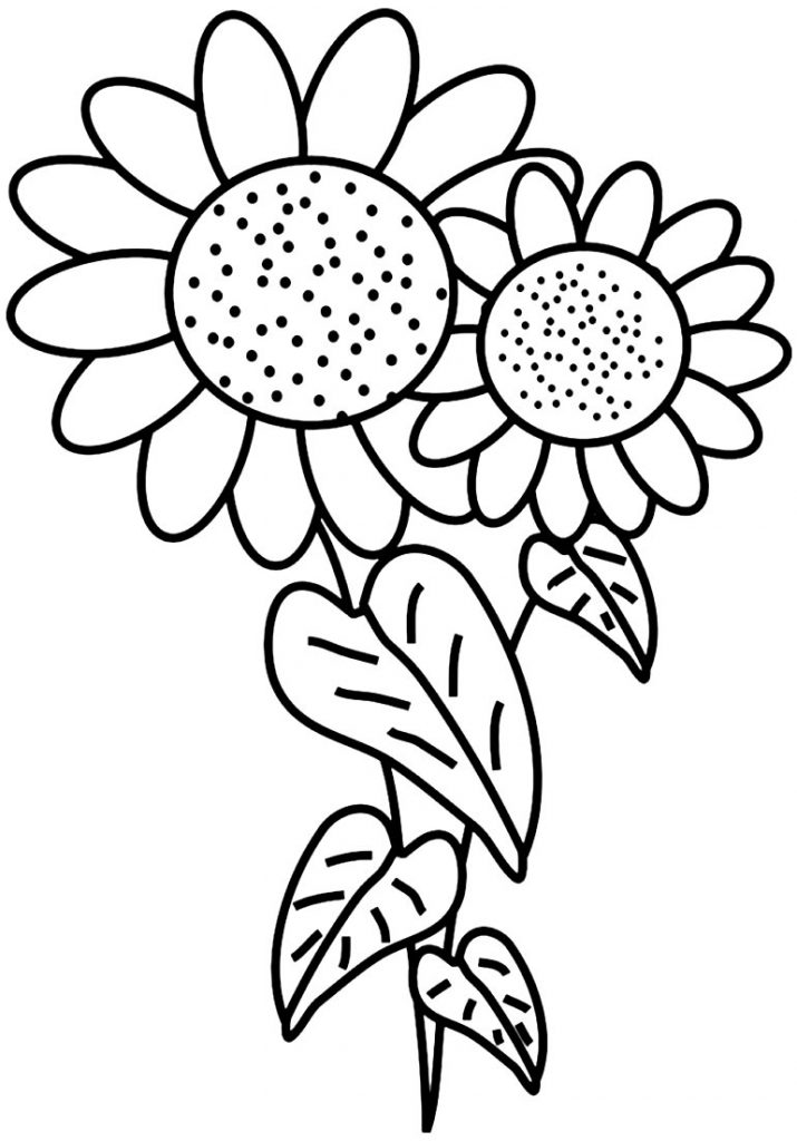 50+ Desenhos de Girassol para colorir - Dicas Práticas