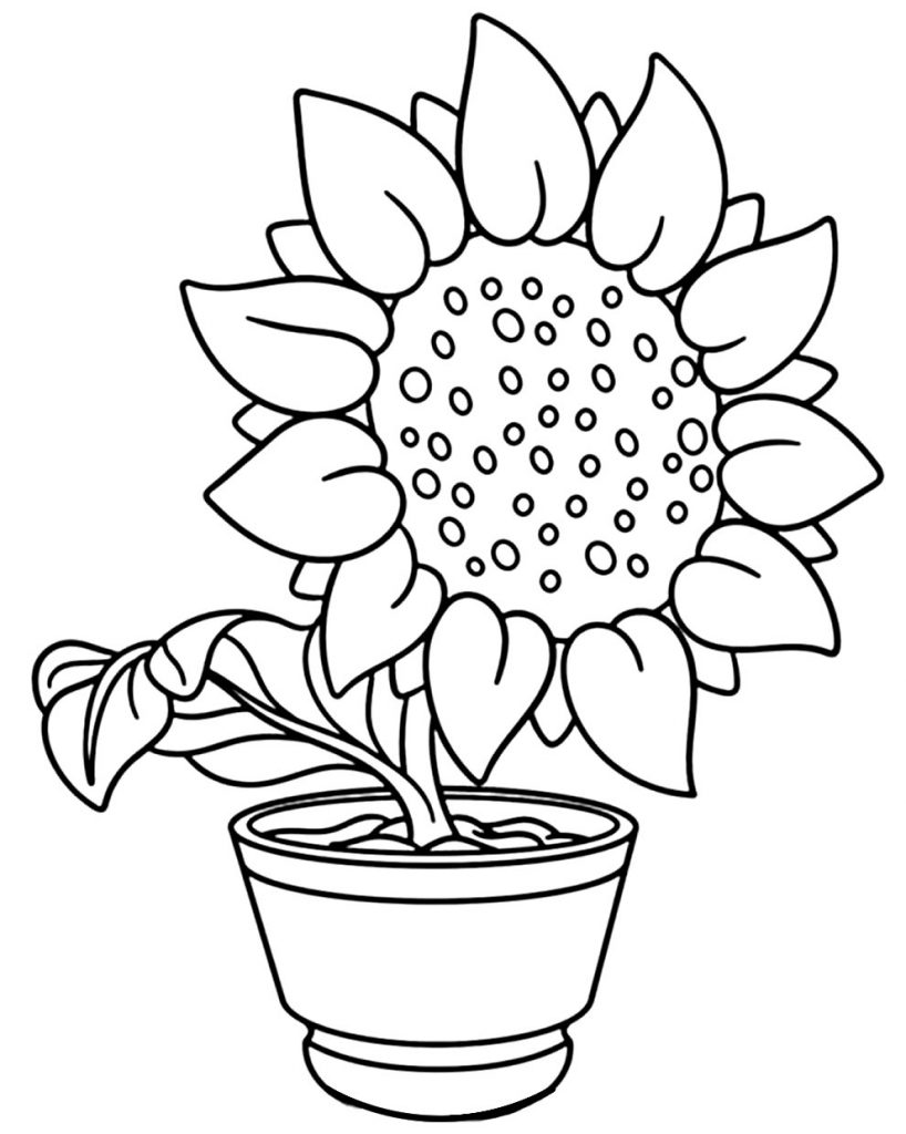 50+ Desenhos de Girassol para colorir - Dicas Práticas